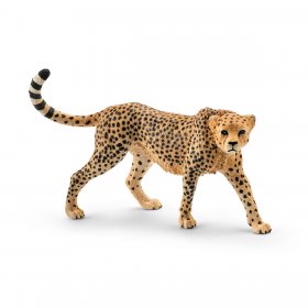 Cheetah Female (sch-14746)