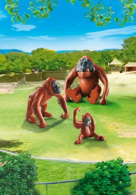 Orangutan Family (PM-6648)