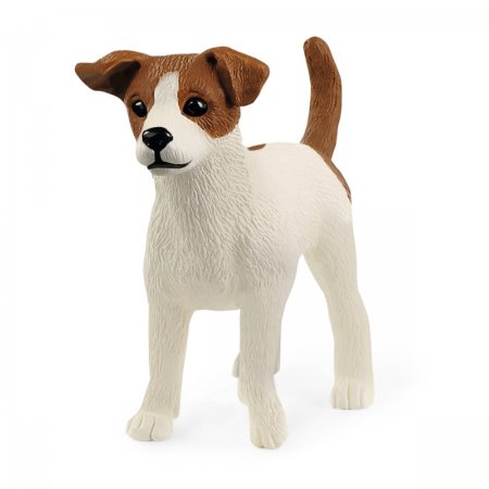 Jack Russell Terrier (sch-13916)