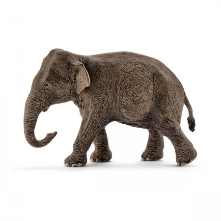 Asian Elephant Female (sch-14753)