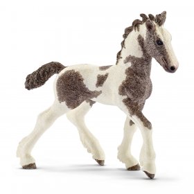 Tinker Foal (sch-13774)