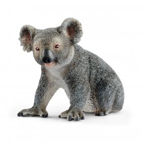 Koala Bear (sch-14815)
