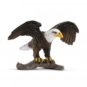 Bald Eagle (sch-14780)