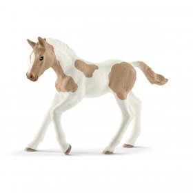 Paint Horse Foal (sch-13886)