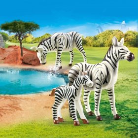 Zebras with Foal (PM-70356)