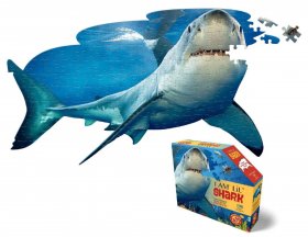 I am Lil Shark 100pc (4013-IAMLShark)