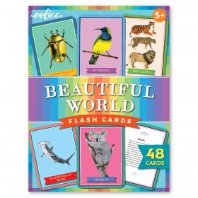 Flashcards: Beautiful World (flbuw)