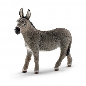 Donkey (sch-13772)