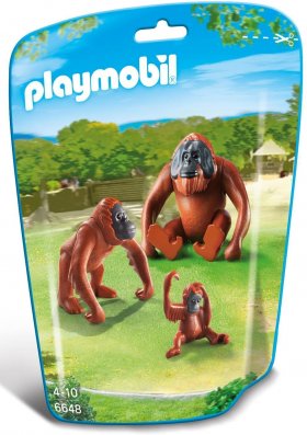 Orangutan Family (PM-6648)
