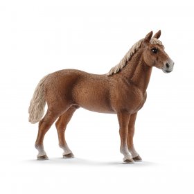 Morgan Horse Stallion (sch-13869)