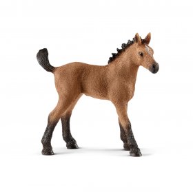 Quarter Horse Foal (sch-13854)