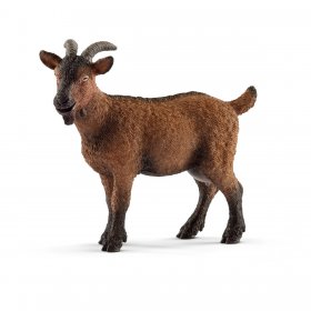 Goat (sch-13828)