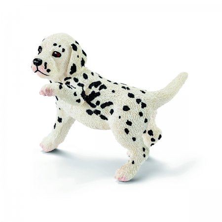 Dalmatian Puppy (sch-16839)