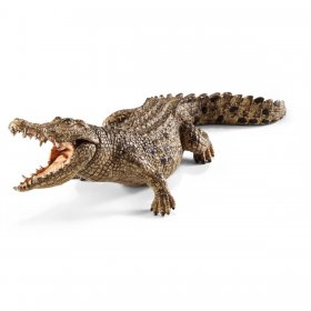 Crocodile (sch-14736)