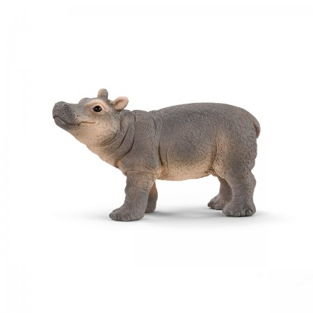 Baby Hippopotamus (sch-14831)