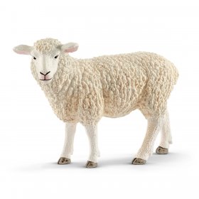 Sheep (sch-13882)