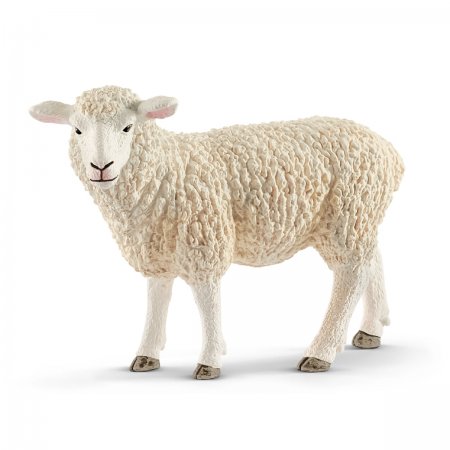 Sheep (sch-13882)