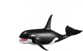 Orca Whale (PM-7654)