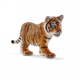 Tiger Cub (sch-14730)