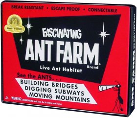 Classic Ant Farm (0017)