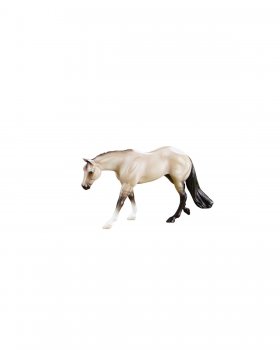 Dun Quarter Horse (927)