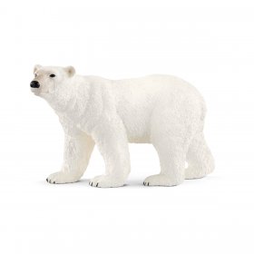 Polar Bear (sch-14800)