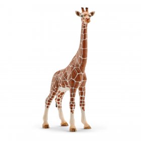 Giraffe Female (sch-14750)