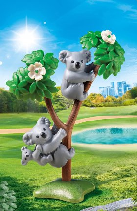 Koalas with Baby (PM-70352)