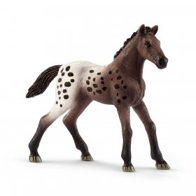 Appaloosa Foal (sch-13862)