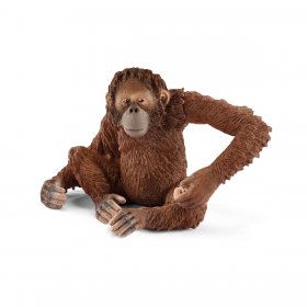 Orangutan Female (sch-14775)