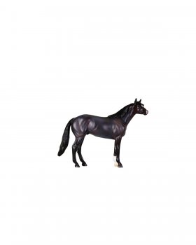 Bay Roan American Quarter Horse (931)