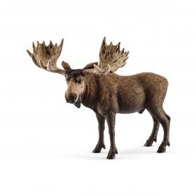 Moose Bull (sch-14781)