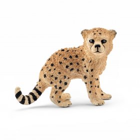Cheetah Cub (sch-14747)