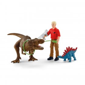 Tyrannosaurus Rex Attack (sch-41465)