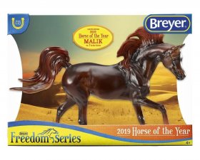 Malik 2019 Horse of the Year (62119)