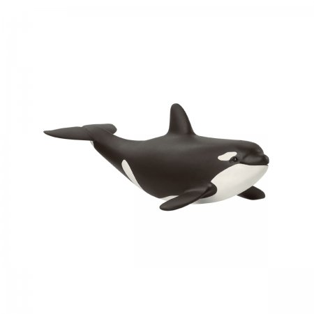 Baby Orca (sch-14836)