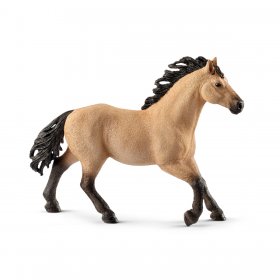 Quarter Horse Stallion (sch-13853)