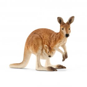 Kangaroo (sch-14756)