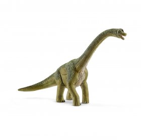 Brachiosaurus (sch-14581)