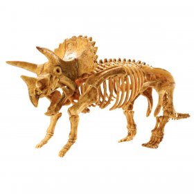 Dig It Up!: Triceratops (MW-68410)