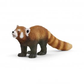 Red Panda (sch-14833)