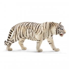 Tiger White (sch-14731)