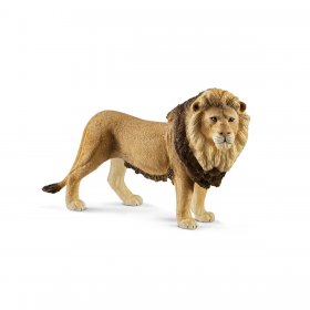 Lion (sch-14812)