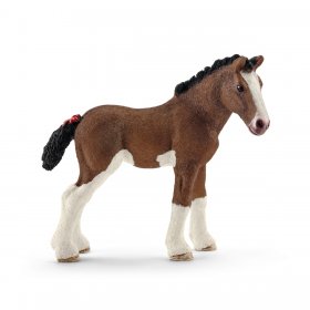 Clydesdale Foal (sch-13810)
