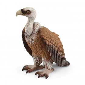 Vulture (sch-14847)