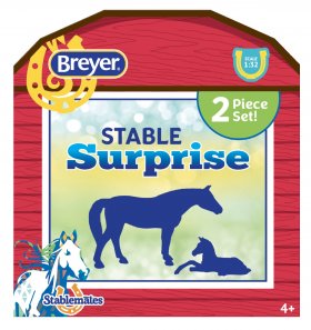 Stable Surprise (6049)