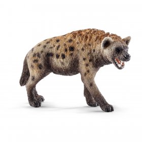 Hyena (sch-14735)