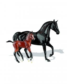 Black Morgan and Red Bay Morgan Foal (62042)