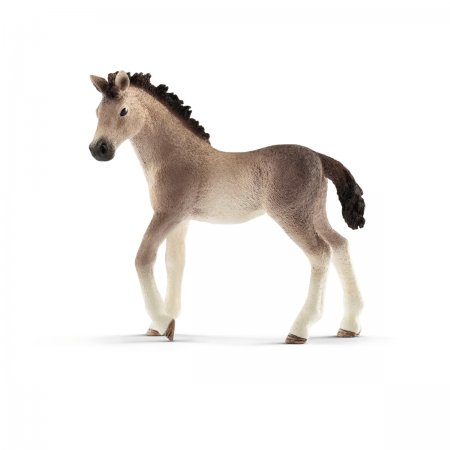 Andalusian Foal (sch-13822)