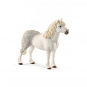 Welsh Pony Stallion (sch-13871)